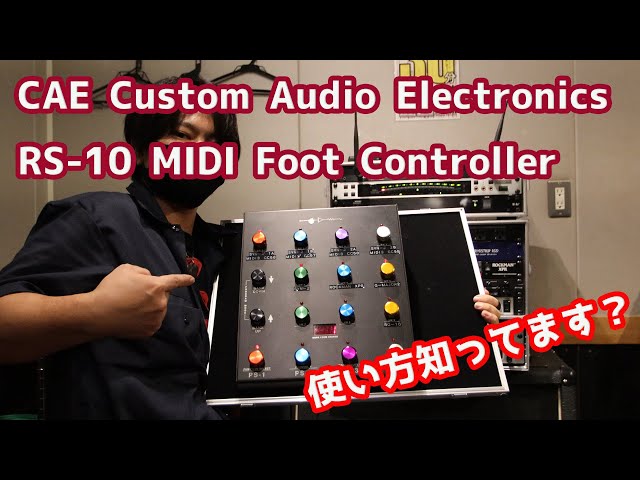 CUSTOM AUDIO ELECTRONICS RS-616 102 CUSTOM AUDIO JAPAN RS616
