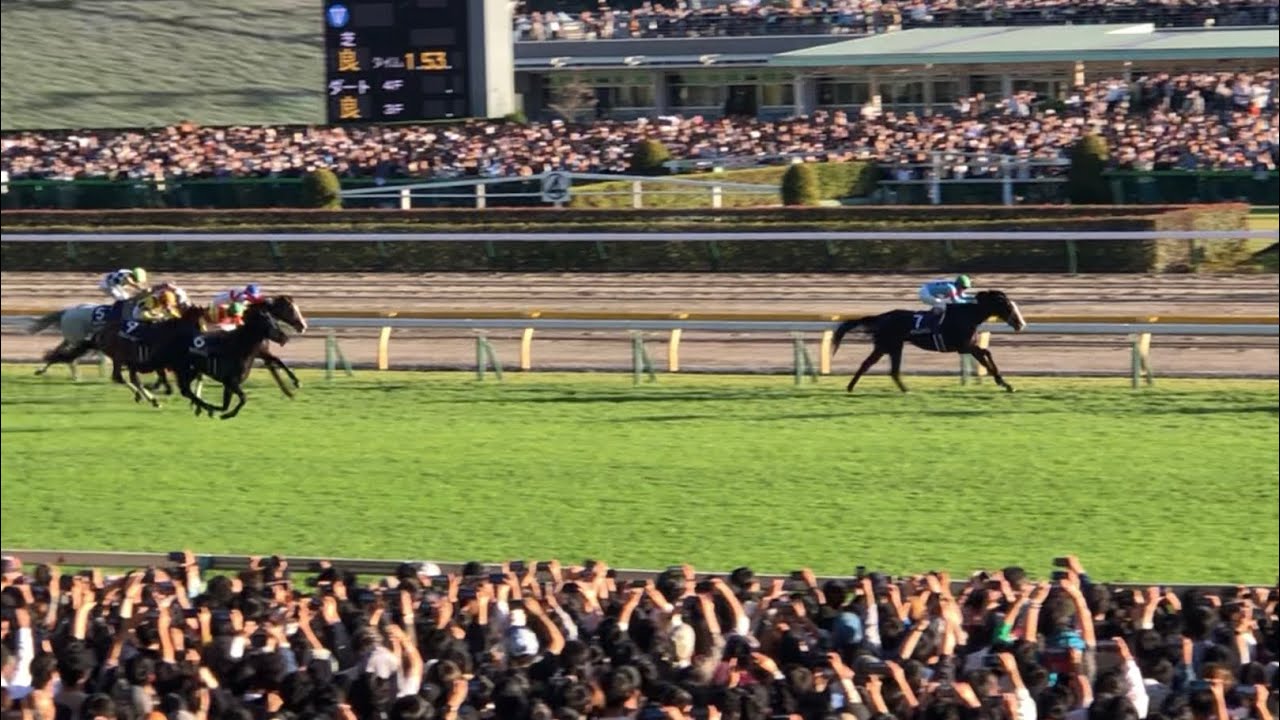 天覧競馬》【現地】イクイノックス 2023 天皇賞(秋) 驚異の世界