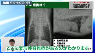 理論から実践まで！X線画像読影指南 | 株式会社 医療情報研究所