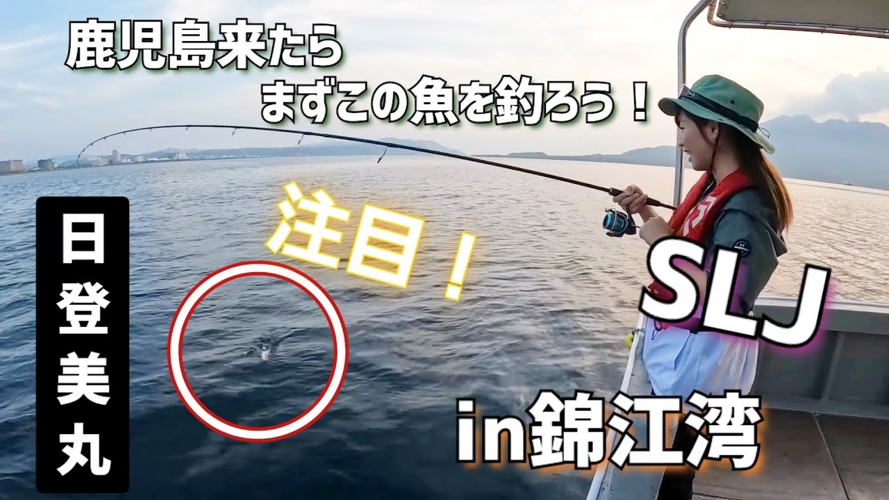 SLJ] Speaking of Kagoshima's classic fish, this is it! Hitomi Maru