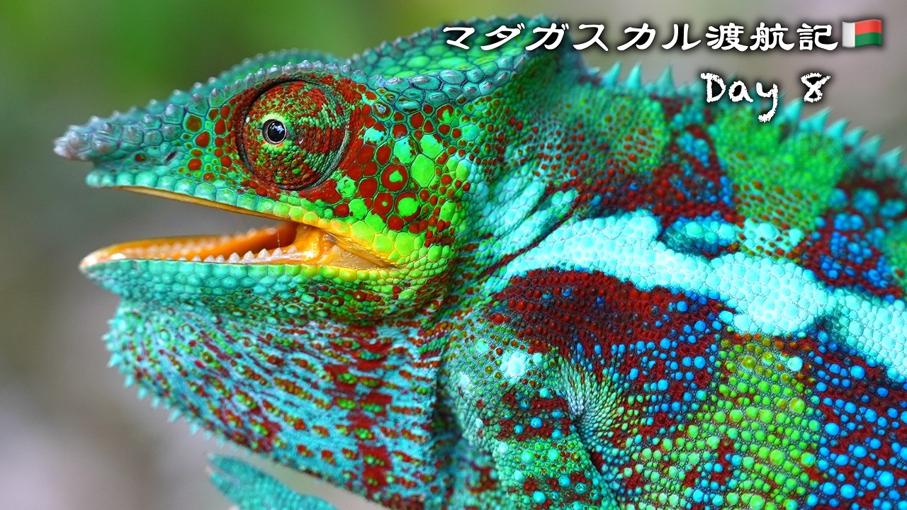 A bridge collapses After a series of troubles, we encounter a