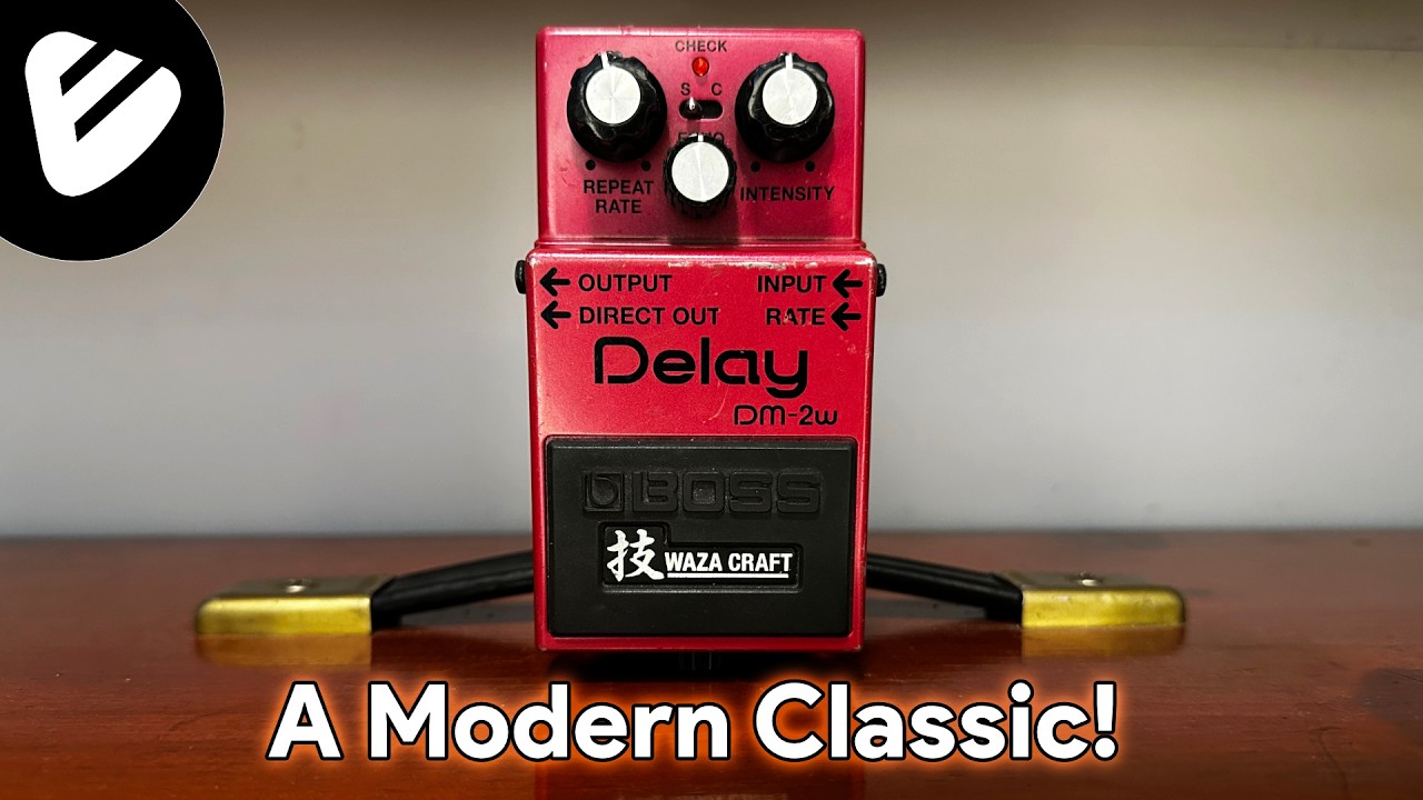Boss DM-2w Waza Craft Analog Delay Review + Demo - YouTube