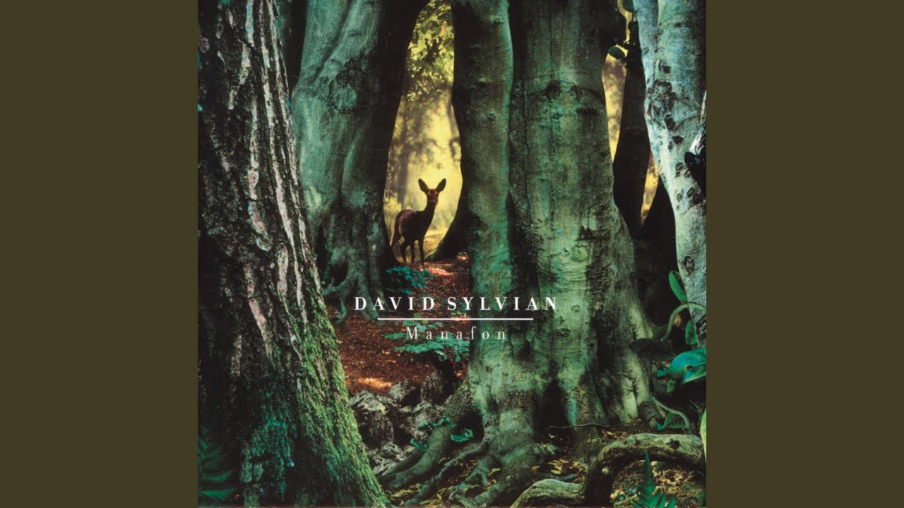 David Sylvian's Massive 'Do You Know Me Now?' Box: Worth It