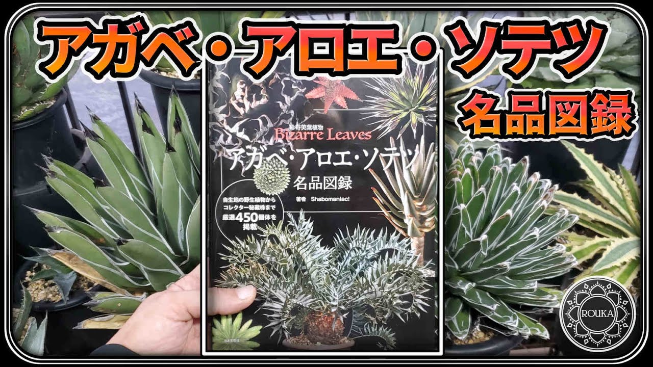 Agave Book] Catalog of Masterpieces of Agave, Aloe, and Cycads