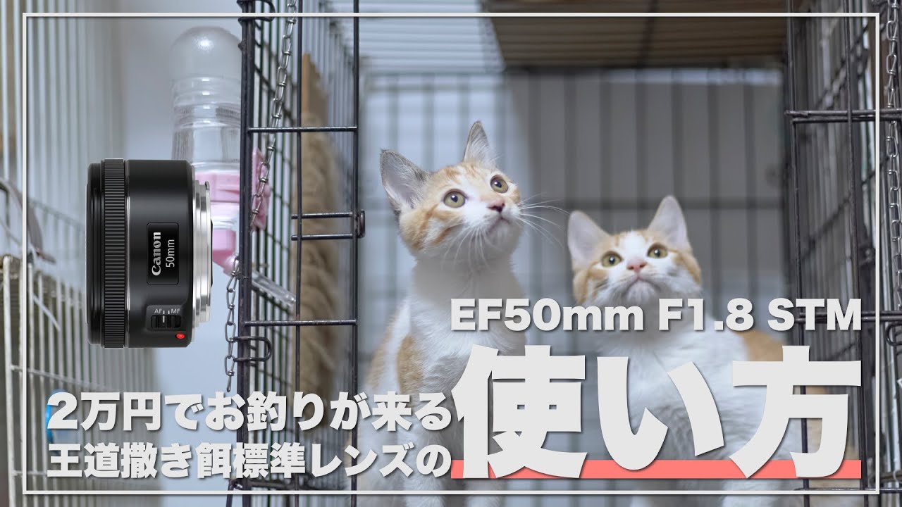 レンズ雑談】EF50mm F1.8 STMの最もパワーの出る使い方 - YouTube