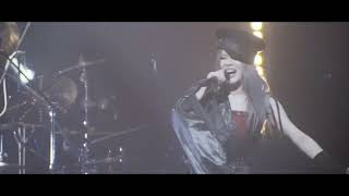 DOLL$BOXX - Black Survival「ブラックサバイバル」[high $pec High