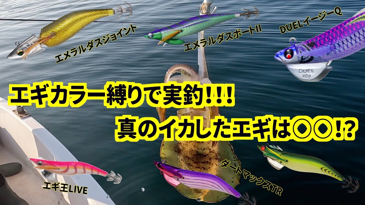 ティップランエギング】エギカラー縛りで実釣！！！真のイカしたエギは