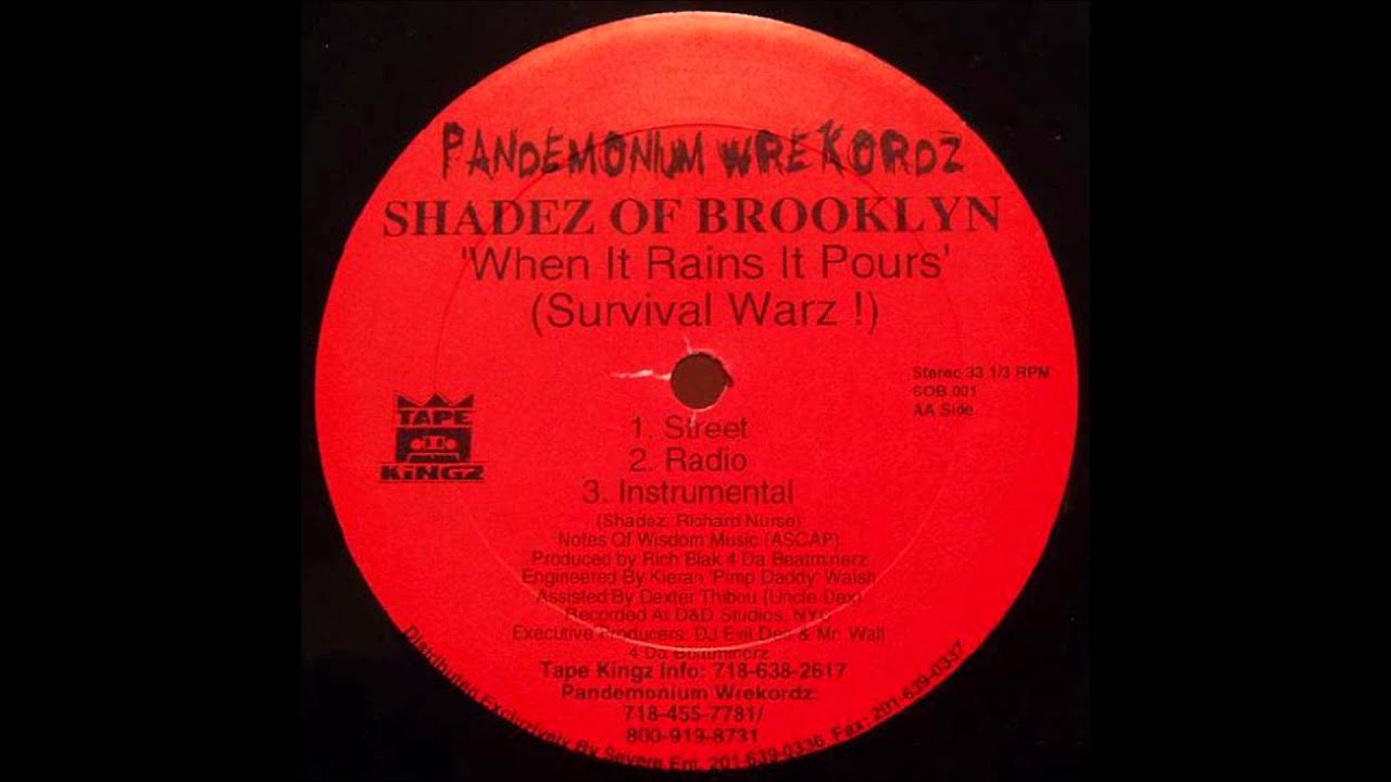 SHADEZ OF BROOKLYN / CHANGE / WHEN IT RAINS IT POURS (SURVIVAL