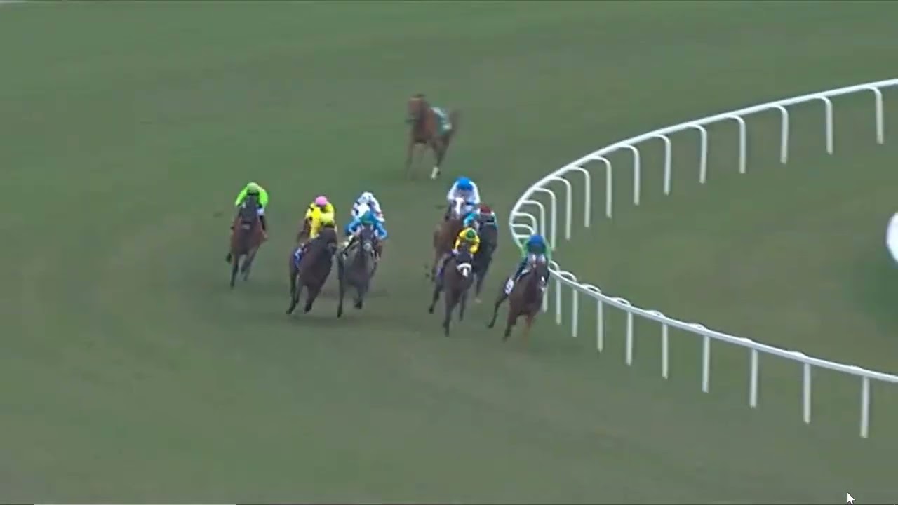 2000年 フェブラリーS 単勝式券 ウィングアロー 2000年 フェブラリーS