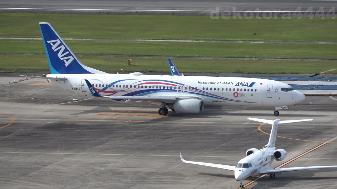 全日空 B737-800 大阪・関西万博 特別デザイン機「EXPO2025 ANA JET