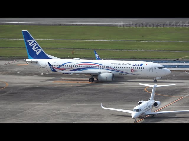 航空機・ヘリコプター ANA 737-800 JA58AN Expo 2025 JC 1:400 航空機