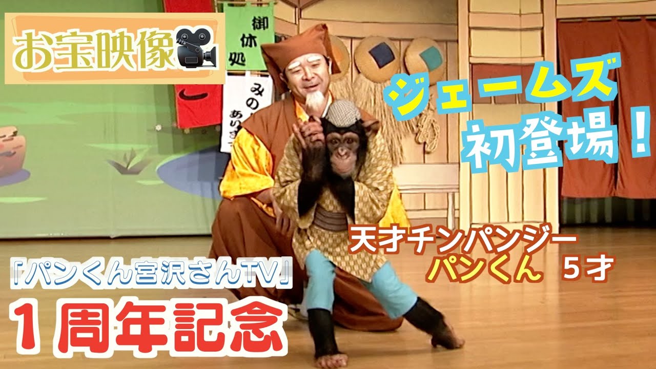 1st Anniversary of YouTube Launch❗️【Genius! Chimpanzee Pan-kun