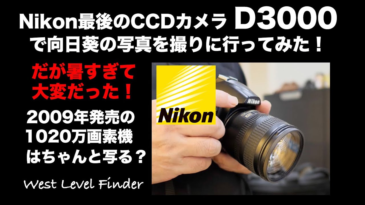 PENTAX最後のCCDカメラ】PENTAX K-mで撮影してみる！2008年発売1020万
