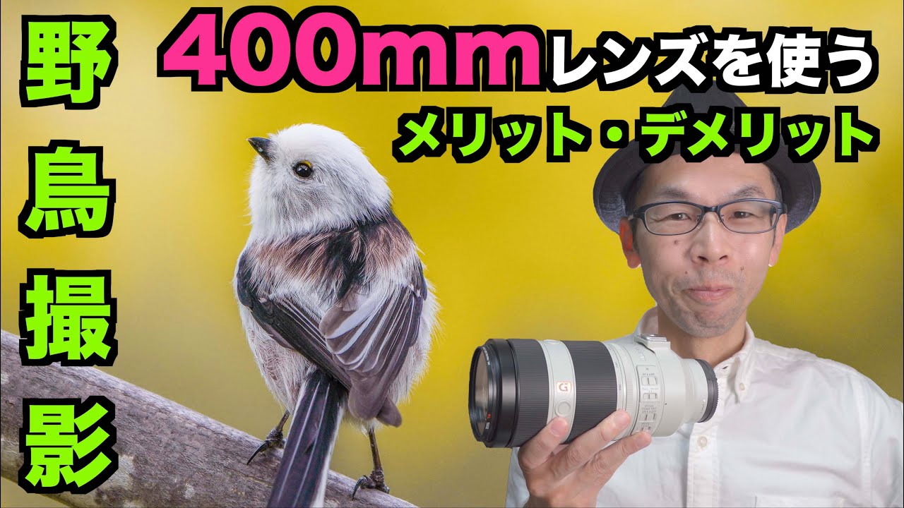 野鳥撮影】400mmレンズを使うメリットとデメリット【作例解説】 - YouTube
