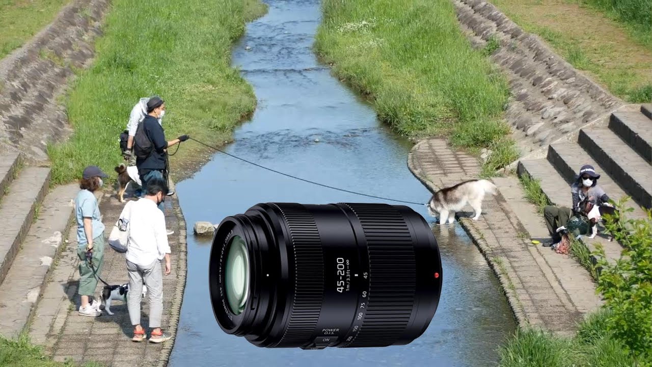 LUMIX望遠レンズ1本で撮る春の野川上流 マイクロフォーサーズ G VARIO