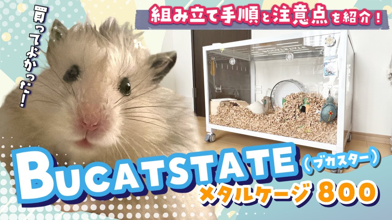 巨大！BUCATSTATE（ブカスター）のハムスター800ケージを組み立てて