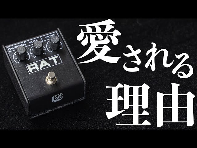Proco RAT2がギタリストに愛される理由とは？楽器屋店員が解説します