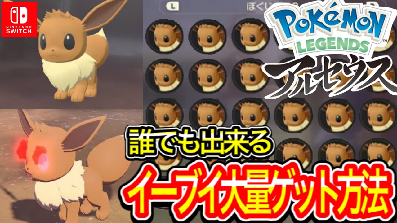 徹底解説【Pokémon LEGENDS アルセウス】誰でも簡単にイーブイと