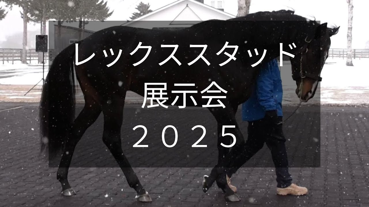 Rex Stud Exhibition 2025] 21 horses including Title Holder and