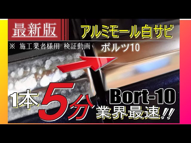 欧州車の宿命 アルミモール白錆び -2024年 最新版- 【モール一本5分