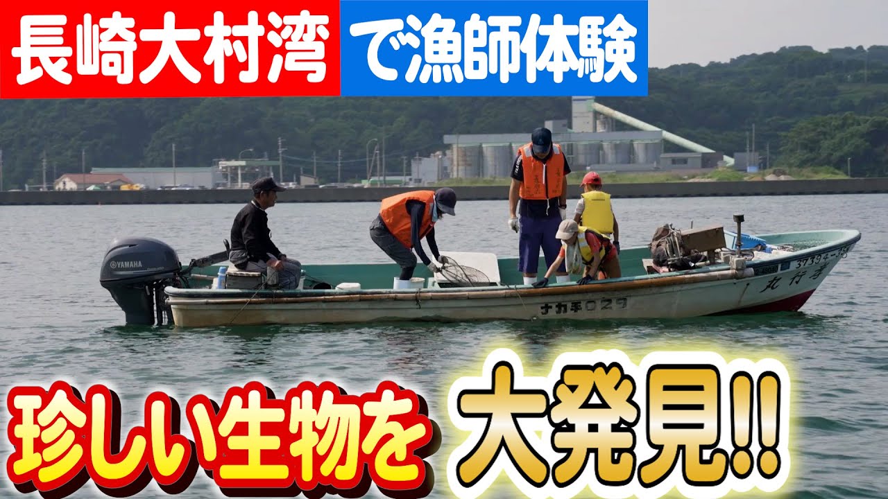夏休み親子漁業体験：海の恵みと環境の現状を間近に感じる旅 日本財団