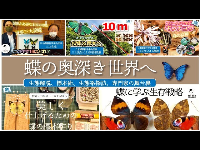 超蝶話】蝶の世界へようこそ！三上先生（日本蝶類科学学会理事）による