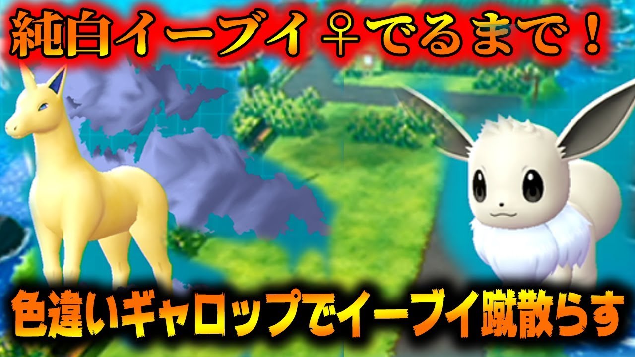ポケモンレッツゴー】色違いイーブイ♀を手に入れる！【Let's Go