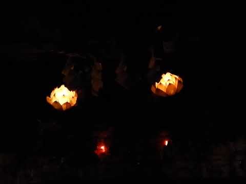 土方巽 – 慈悲心鳥がバサバサと骨の羽を拡げてくる – Vinyl (LP