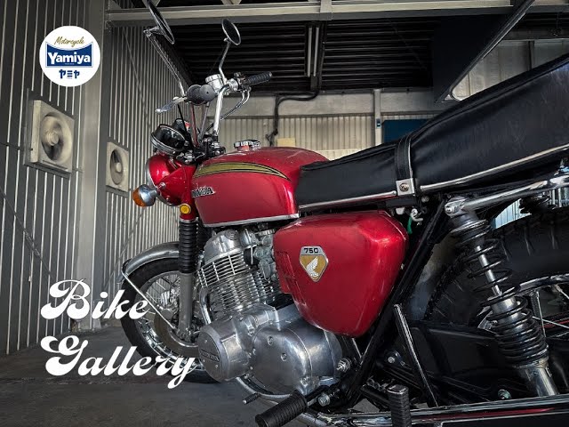 sddefault.jpg?v=664194b7