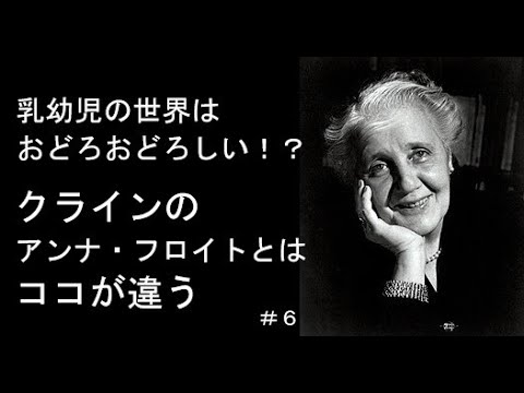 第5回】ちょっと詳しく知りたい人の精神分析入門【精神分析の学派