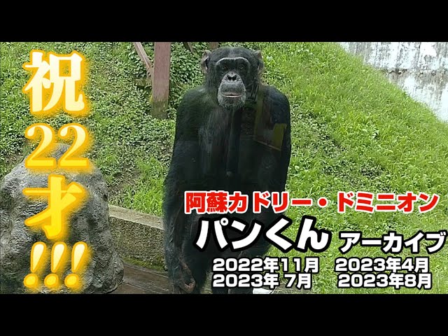 10月1日で22才】パンくんアーカイブ ＃阿蘇カドリードミニオン - YouTube