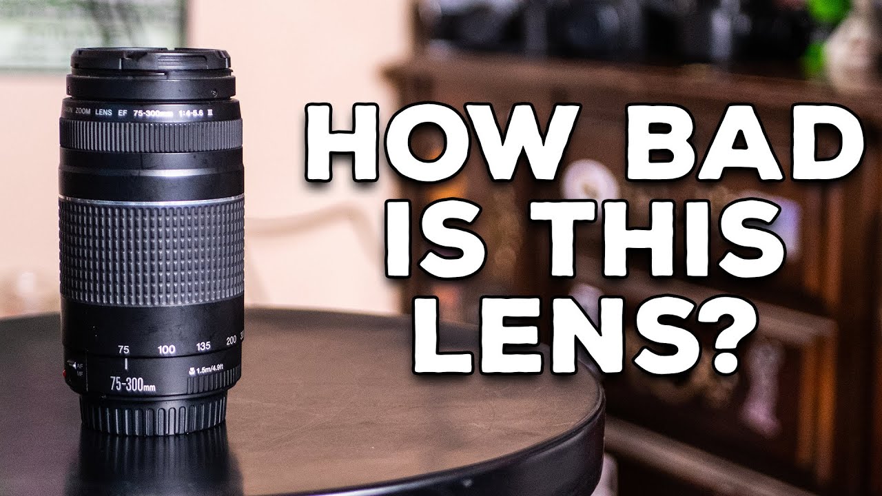 How Bad Is the Canon EF 75-300mm f/4-5.6 Lens? - YouTube