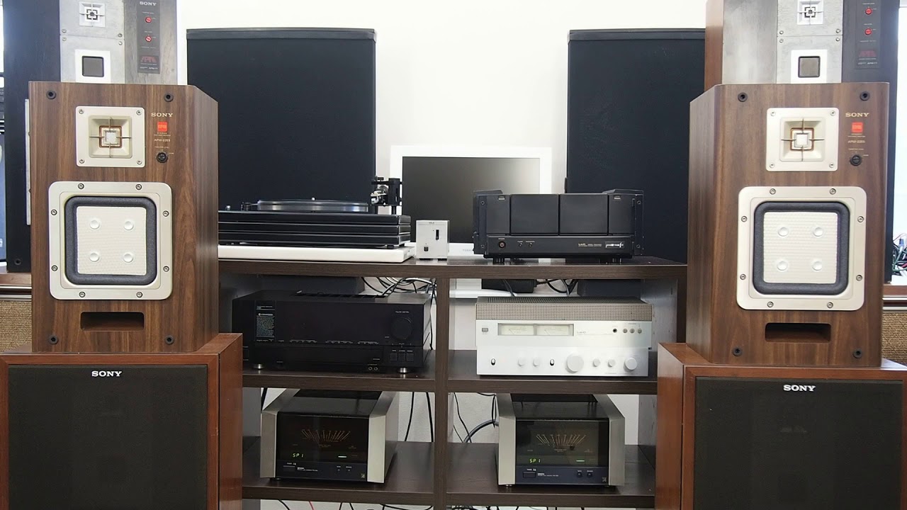 SONY APM-22ES 希少 Rosewood 連番 メンテナンス済み Yahoo