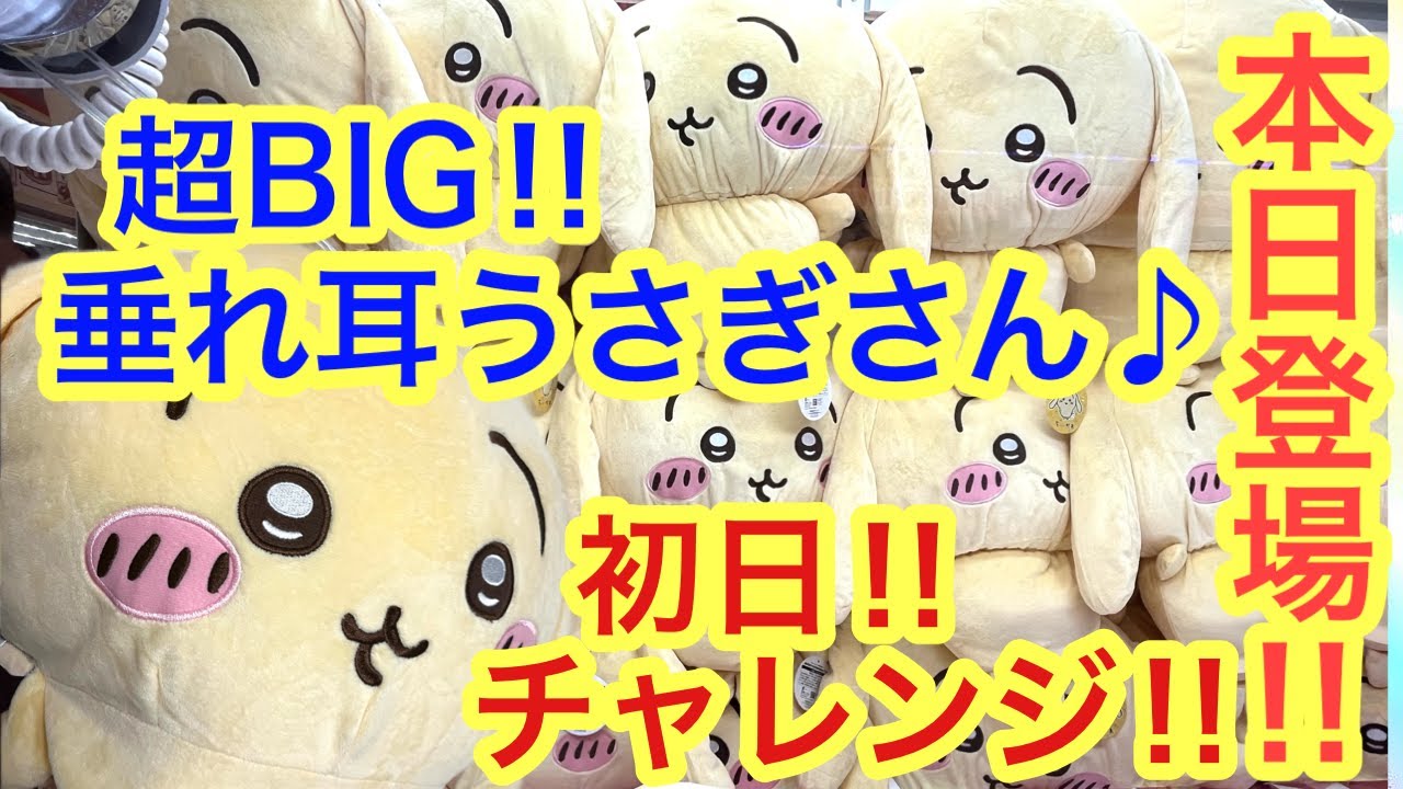 ちいかわ】垂れ耳なうさぎ超BIGぬいぐるみ！！初日チャレンジ