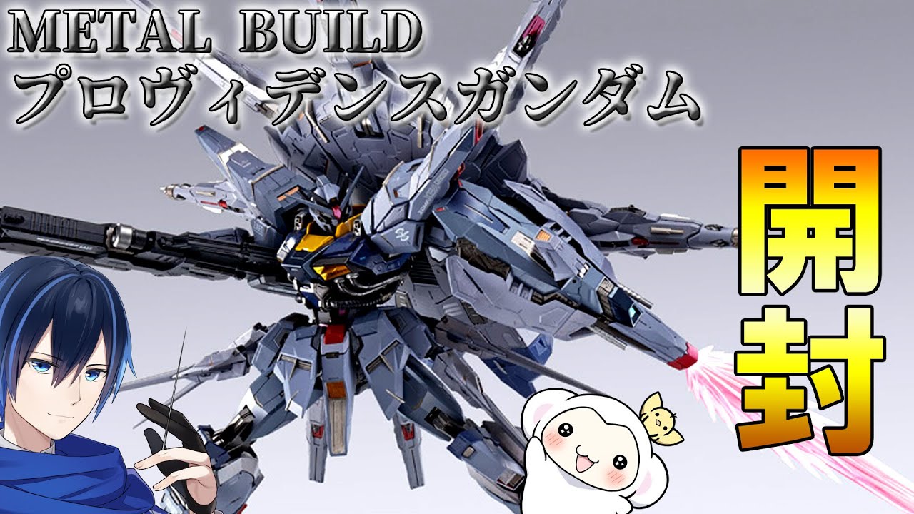 METALBUILD開封】METAL BUILD プロヴィデンスガンダム 開封レビュー