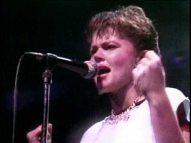 Go-Go's - A Band History (live in central park 2001 dvd extra