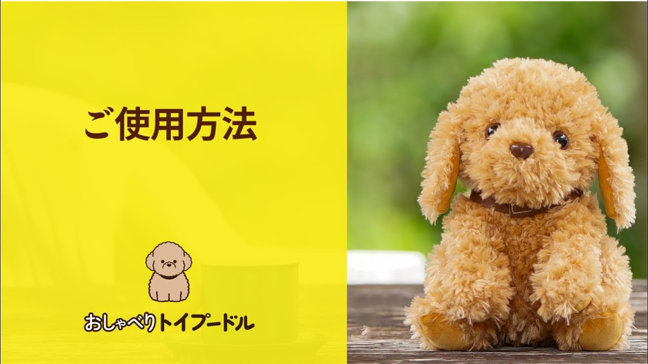 おしゃべりトイプードル使用方法 - YouTube