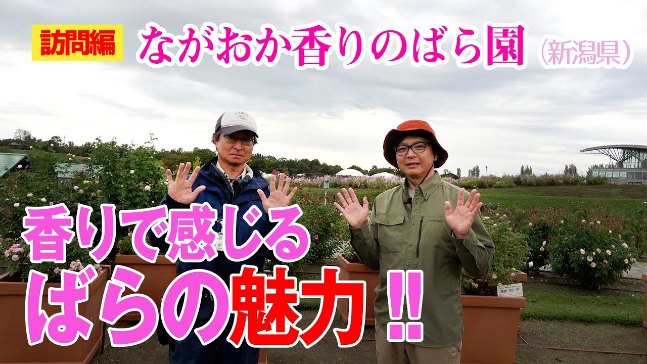 ガーデニング・園芸のことならKINCHO園芸