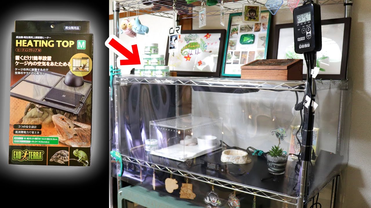 I made a vinyl greenhouse for reptiles [GEX Heating Top] - YouTube