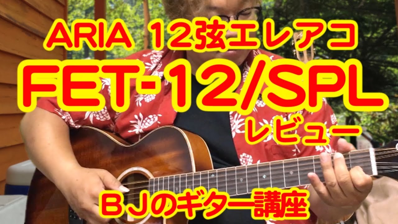 ARIA 12弦ギター FET-12/SPL LVS（ライトヴィンテージサンバースト