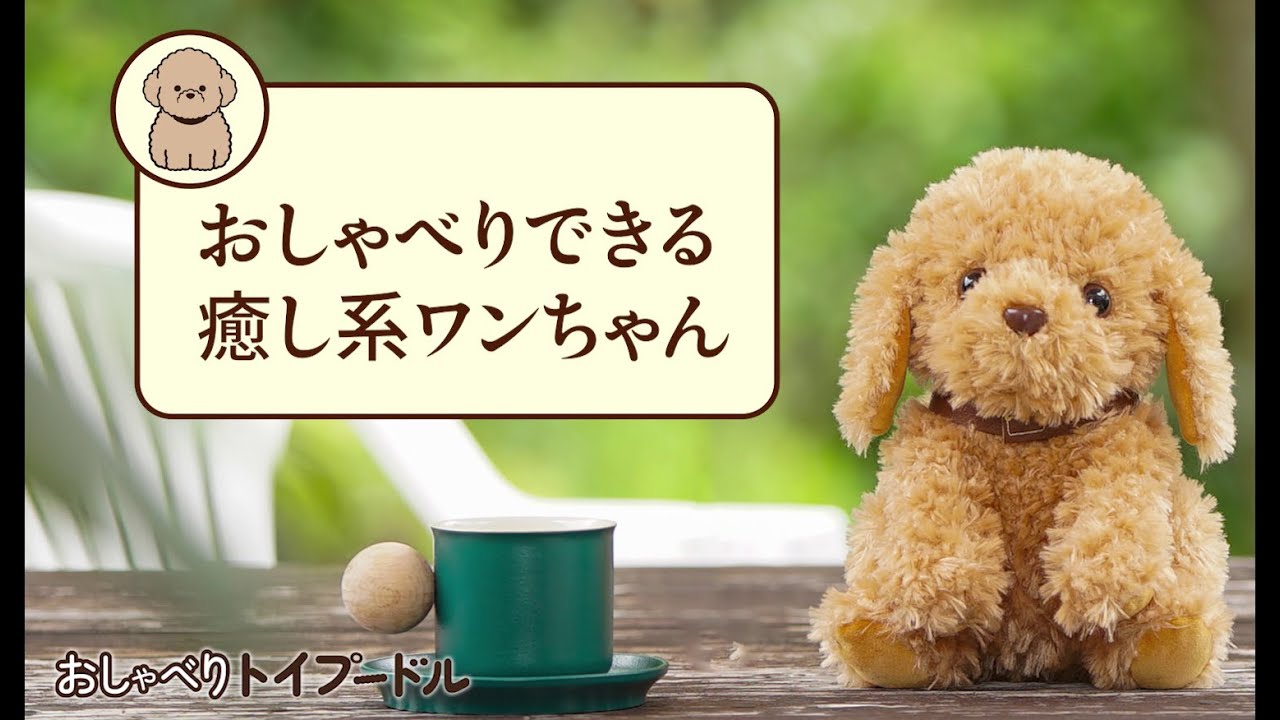 簡単操作で癒やされる！】『おしゃべりトイプードル』商品紹介 - YouTube