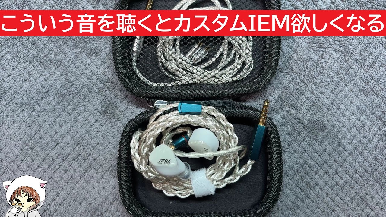 AAW Z06] The custom IEM manufacturer's earphones were amazing