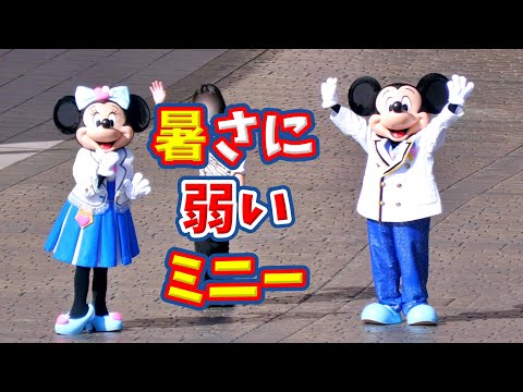 ディズニー】暑くて日陰に行きたいミニーと少しかわいそうなドナルド