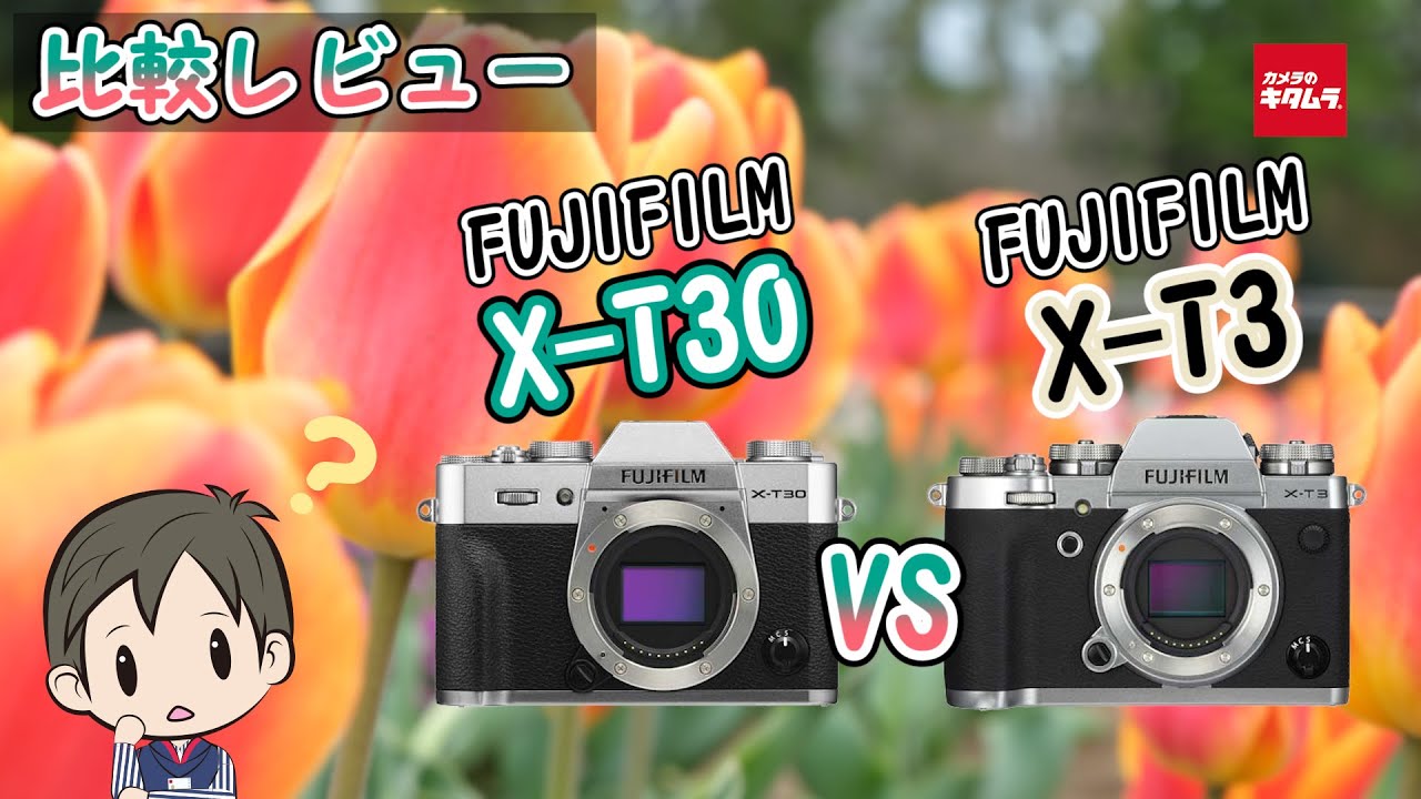 カメラ比較】富士フイルムのミラーレス一眼 X-T3とX-T30の違いとは