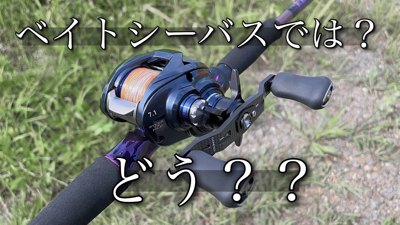 803M+RSB-22】ハートランドリベラリストでベイトシーバスはどうか