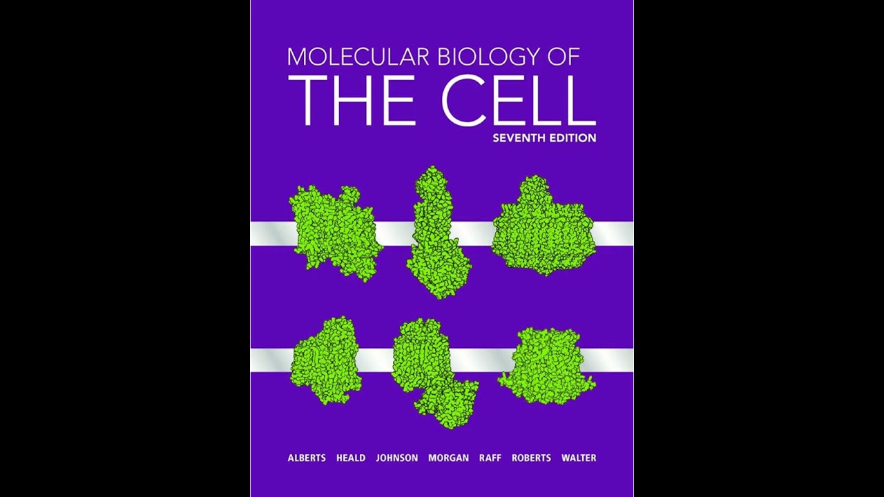 Control of Gene Expression | Chapter 7 – Molecular Biology of the
