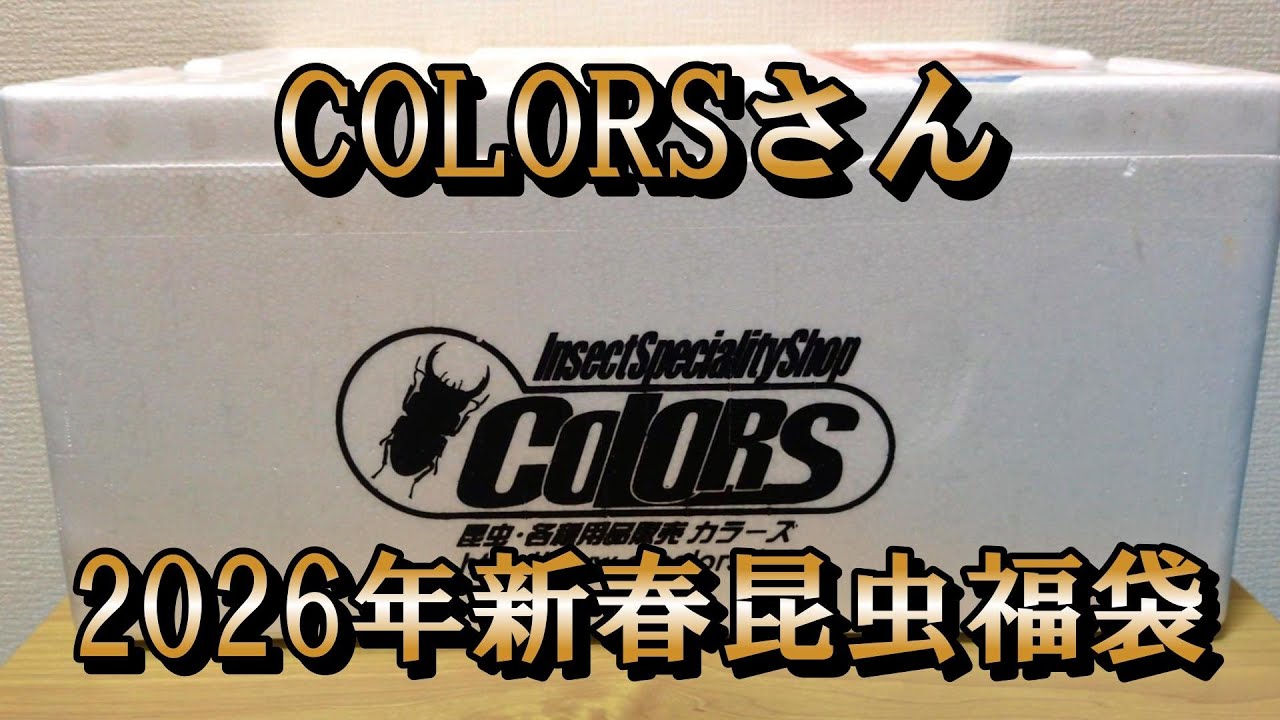 Awesome!!] I opened COLORS' 2026 New Year's Insect Lucky Bag and