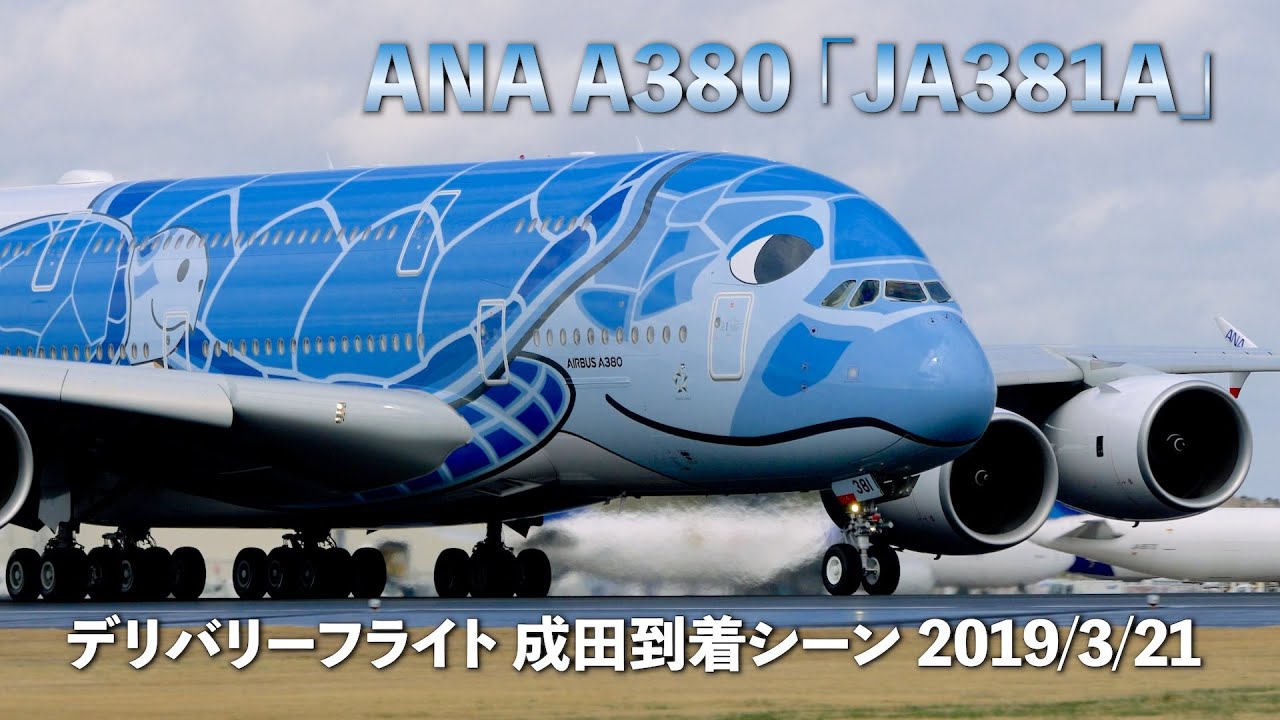 コロナに大きく翻弄された”日本最後の巨人機” ANA「フライングホヌ」6