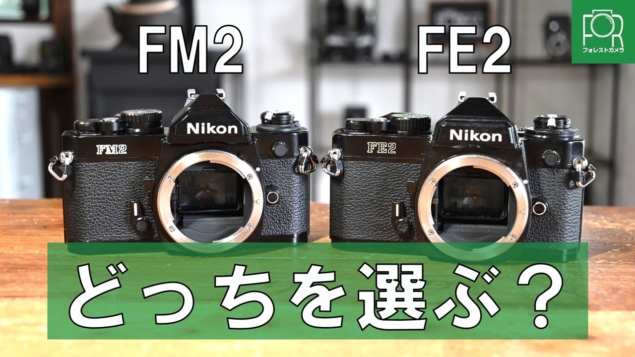 Ultimate Choice] Nikon FE2 or Nikon FM2: Which should you choose