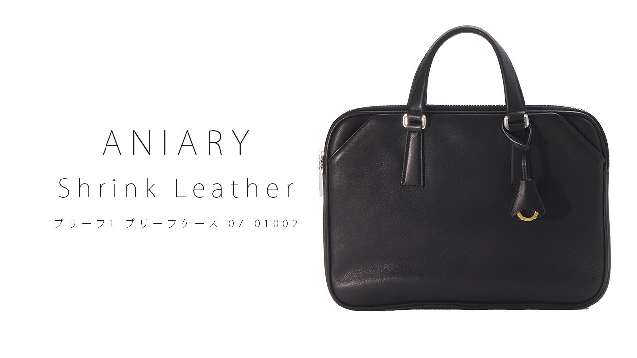 アニアリ ブリーフ1 ブリーフケース 07-01002 ANIARY Shrink Leather